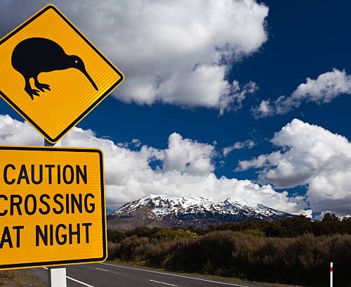 New Zealand Road Sign Attention Kiwi Crossing at road near active volcano of Mount Ruapehu in Tongariro National Park